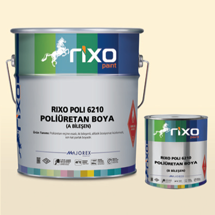 RIXO POLI 6210